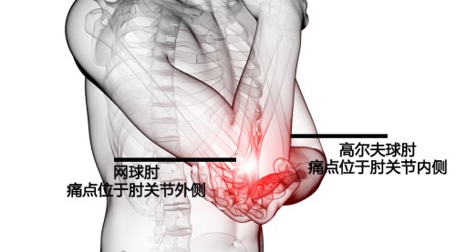 6364505695132763141678182_副本.jpg